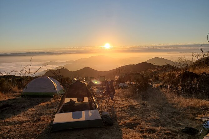 2 Day Beginner Surf Adventure - Why This 2-Day Malibu Surf Camp Works for Beginners