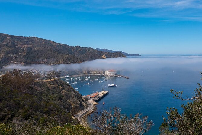 2 hour Inside Adventure Tour on Catalina Island - Key highlights worth your time