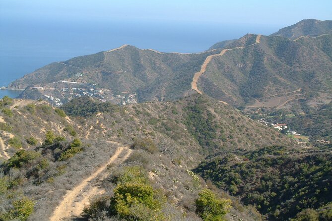 2 hour Inside Adventure Tour on Catalina Island - Why Catalina’s interior is the whole point of this tour