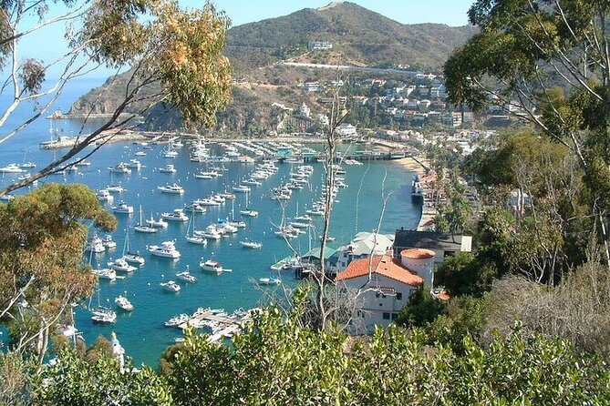 2 hour Inside Adventure Tour on Catalina Island - Getting to the tour: where you meet in Avalon (and what you must arrange)