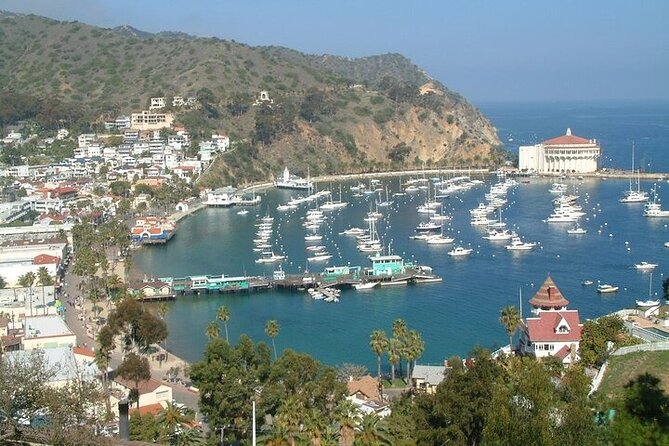 2 hour Inside Adventure Tour on Catalina Island - Nature Center on the highest point: why this stop matters