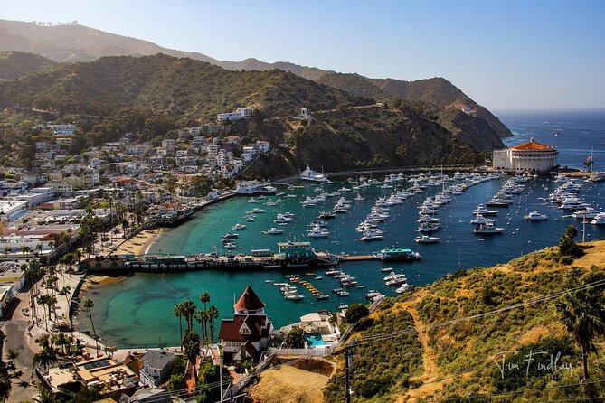 2 Hour Private Tour of Avalon - Golf cart Avalon: the smartest way to get oriented