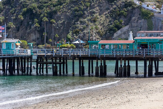 2 Hour Private Tour of Avalon - Value check: $295 per group up to 5
