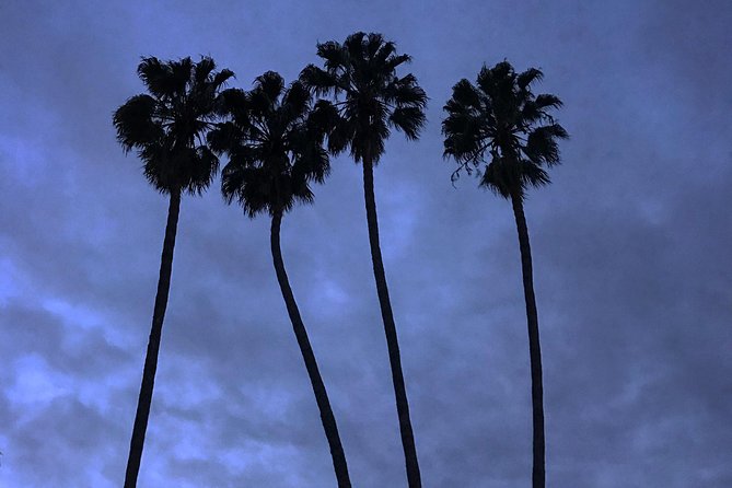3.5 Hour Coastal Tour of Santa Monica, Venice Beach and Malibu - Timing reality check: how to make 3.5 hours feel like enough