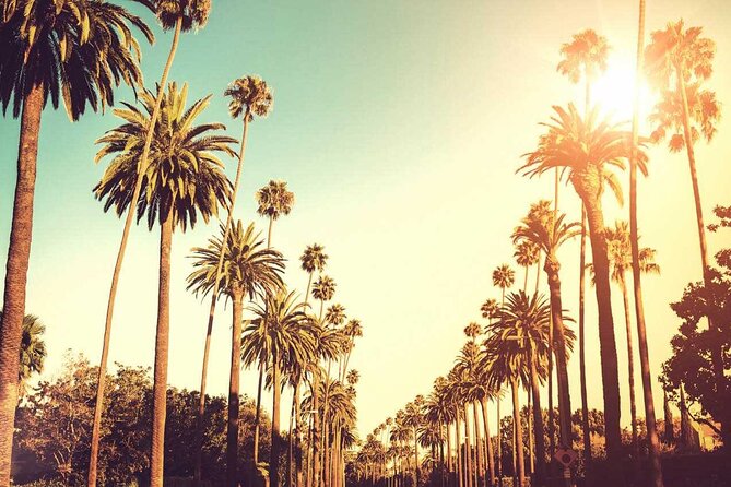 3.5-Hour LA Story Tour: Our Most Popular Los Angeles Tour! - Hollywood & Vine to Sunset Boulevard: the music and stage thread