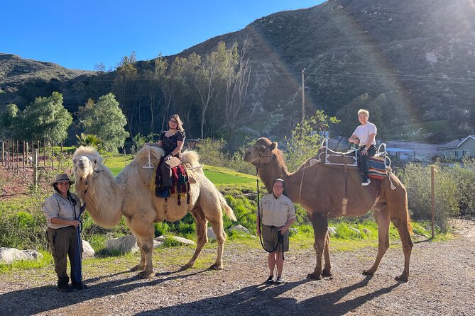 3 Hour Camel Trek into the Forest and Ranch in California - Finding Reptacular Ranch in the LA Orbit