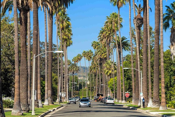 4-Hour private limo Tour of Los Angeles by a TV personality with Free Drinks - The Hollywood Sign moment: getting the view without the hassle