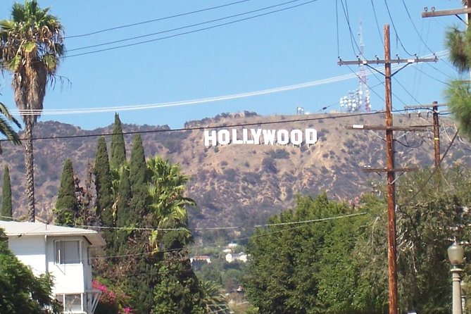 All Day Tour 5.3 Hour - Venice Beach: colorful characters and classic LA chaos