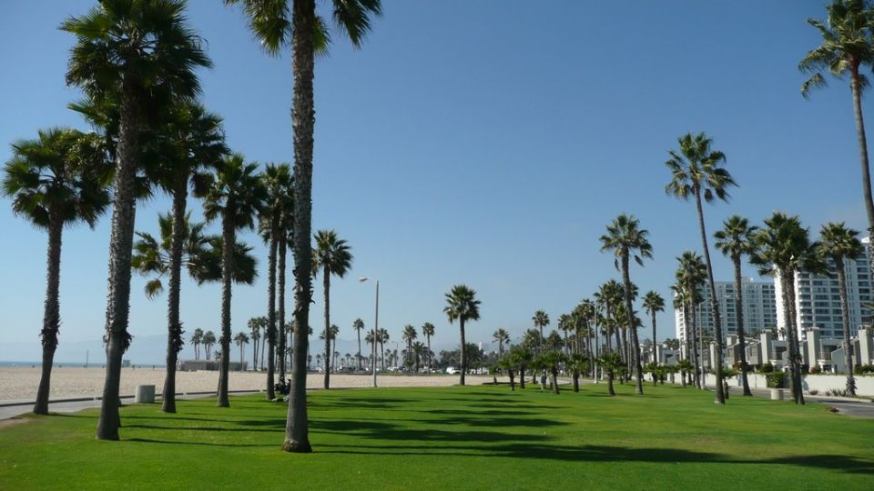 Best of Los Angeles Day Tour with German-Speaking Guide - What the German-speaking guide adds (and why it shows up in reviews)