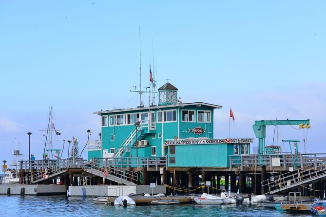 Catalina Express: San Pedro to Avalon One-Way Ferry - Onboard experience: seating, restrooms, and the small comforts you’ll notice