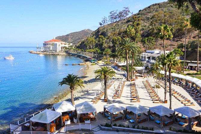 Catalina Express: San Pedro to Avalon One-Way Ferry - The crossing itself: views, timing, and what to expect if there’s a stop