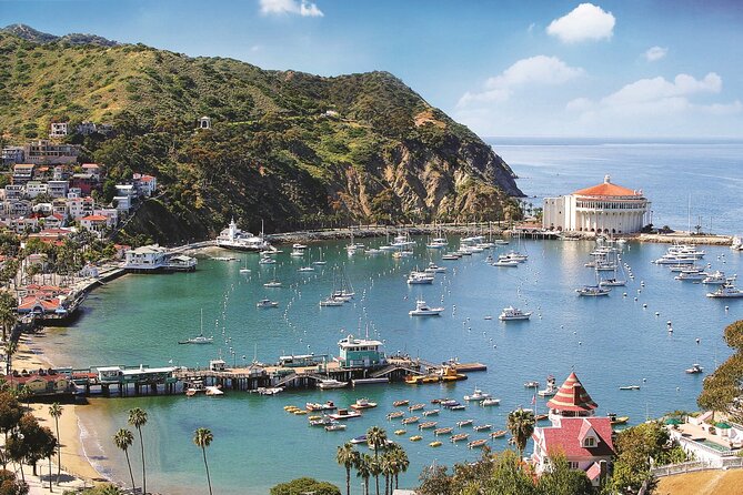 Catalina Express: San Pedro to Avalon One-Way Ferry - Arriving at Cabrillo Mole: your walk into downtown Avalon