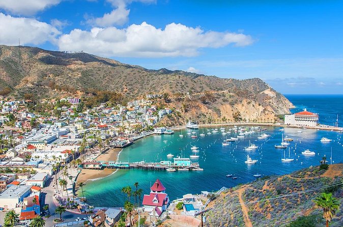 Catalina Island Avalon Highlights Walking Tour - Scoops Ice Cream: A Sweet Reset in the Middle of Town