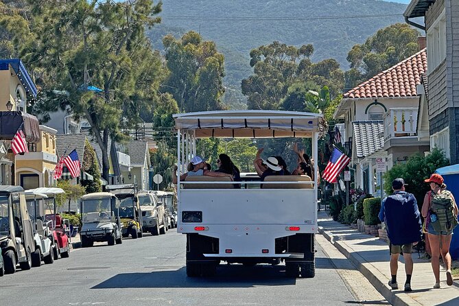 Catalina Island City and Scenic Mt Ada Tour - Key Highlights You’ll Actually Care About