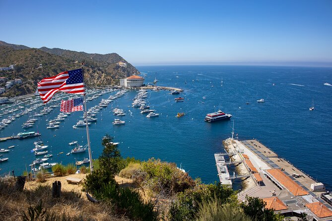 Catalina Island City and Scenic Mt Ada Tour - The Eagle Tram: Fast, Comfortable, and Built for Short Attention Spans