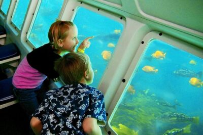 Catalina Island Day Trip from LAX area hotels with Undersea Adventure - Hotel pickup and Catalina Express: great coast views, watch the clock