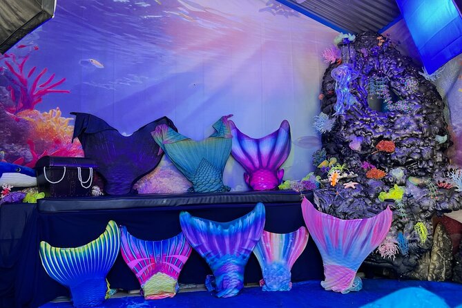 Catalina Island Mermaids Transformation - Key highlights you’ll feel right away