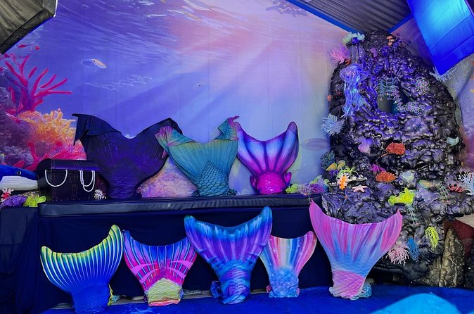 Catalina Island Mermaids Transformation - Price and value: what $35 buys you on Catalina