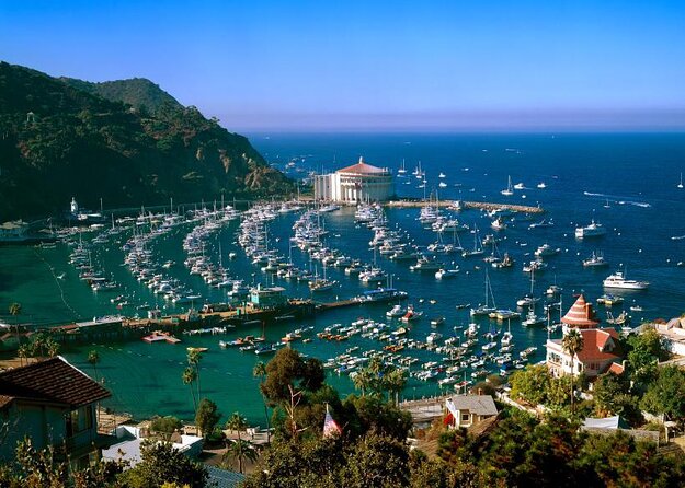 Catalina Island w/Discover Avalon Scenic Tour & Hotel transfers - Quick hits before you go