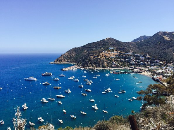 Catalina Island w/Discover Avalon Scenic Tour & Hotel transfers - Why this Catalina day trip from Los Angeles feels simpler