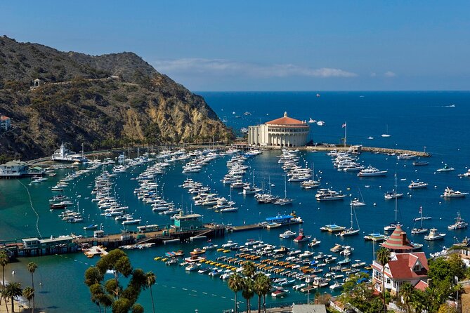 Catalina Island w/Discover Avalon Scenic Tour & Hotel transfers - Your free time in Avalon: shops, Descanso Beach Club, and an actual plan