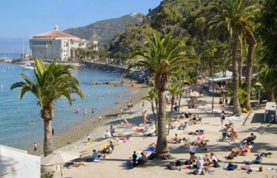 Catalina Island w/Discover Avalon Scenic Tour & Hotel transfers - The morning run: hotel pickup and the ferry ride to Avalon
