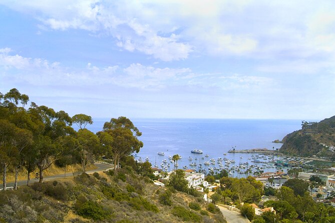 Catalina Island w/Discover Avalon Scenic Tour & Hotel transfers - Logistics that matter: meeting points and avoiding first-day confusion
