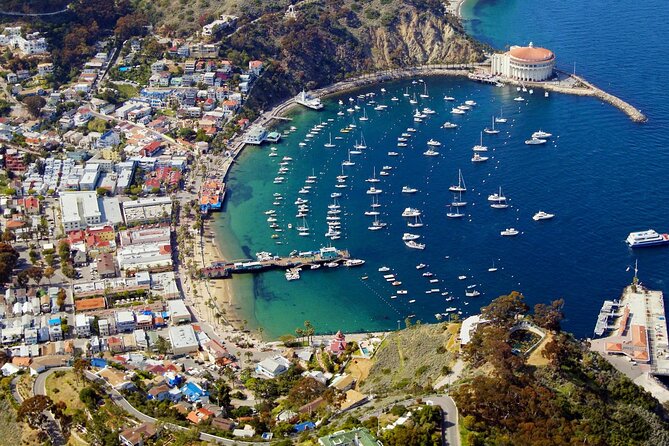 Catalina Island w/Discover Avalon Scenic Tour & Hotel transfers - Who should book this, and who should skip it