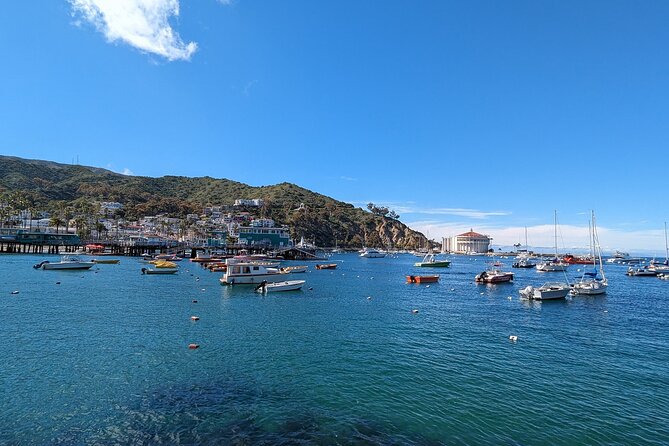 Catalina Scavenger Hunt Walking Tour and Game - Walking a game route through Avalon and the pier
