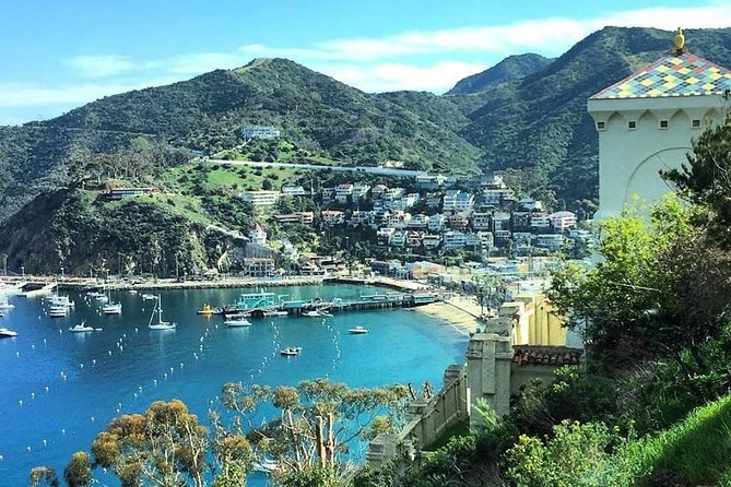 Discover Avalon: Catalina Scenic Tour - Key points at a glance