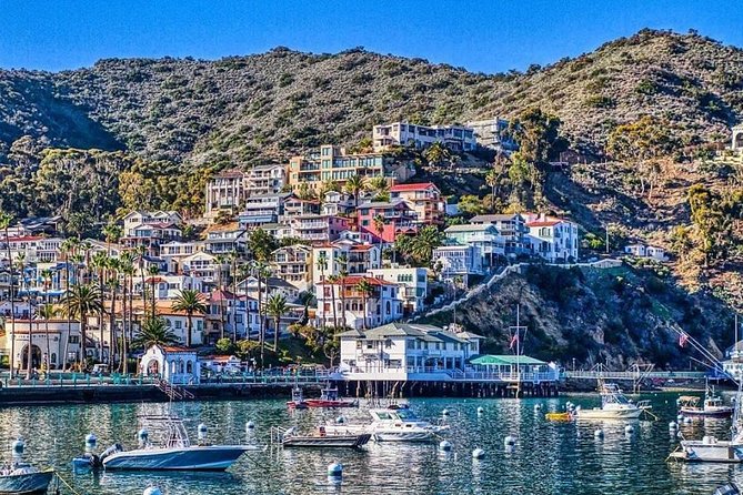Discover Avalon: Catalina Scenic Tour - A quick Avalon orientation for first-timers