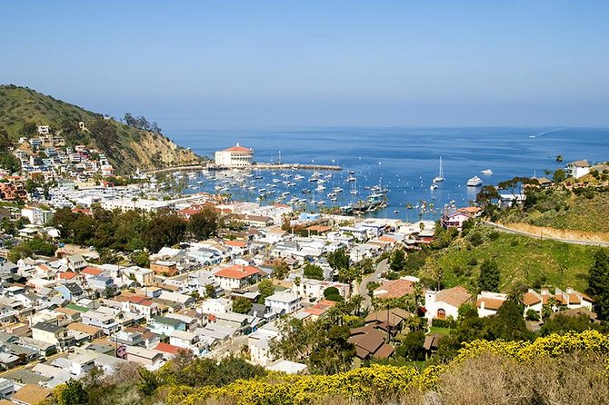Discover Avalon: Catalina Scenic Tour - Beachfront to hilltops: what you’ll see during the 50-minute loop