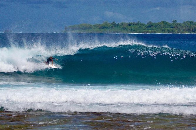 Experience Malibu with Exclusive 90-Minute Surf Lessons - What you should expect during the lesson itself