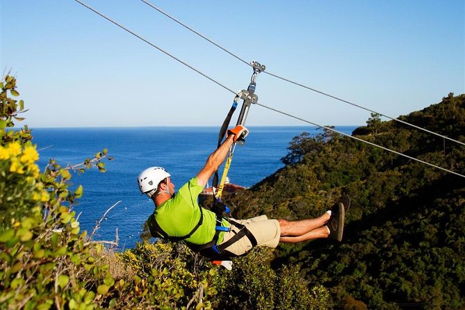 From LA: Catalina Island with Zipline Tour and Hotel Pickup - Food, Restrooms, and Limits That Can Affect Your Day