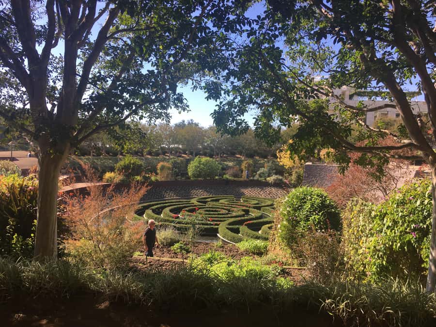 Getty Center: Highlights Tour of Architecture, Gardens & Art - Key highlights you’ll actually care about