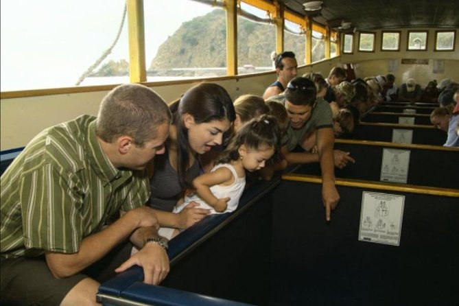 Glass Bottom Boat: Catalina Island Tour - A 40-Minute Glass-Bottom Cruise That Keeps Catalina Simple
