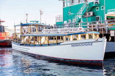 Glass Bottom Boat: Catalina Island Tour - Price of $32.05: Why This Feels Like Good Value