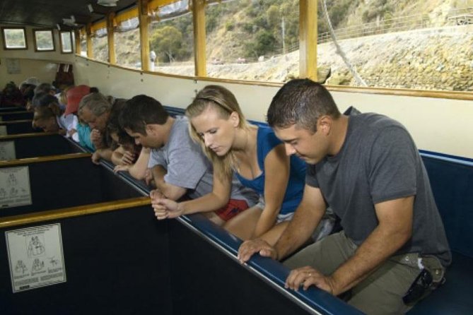 Glass Bottom Boat: Catalina Island Tour - What You See on the Boat: Lover’s Cove Marine Preserve Under Glass
