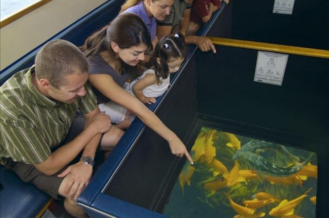 Glass Bottom Boat: Catalina Island Tour - The Catalina Island Part: How the Express Format Frees Your Afternoon
