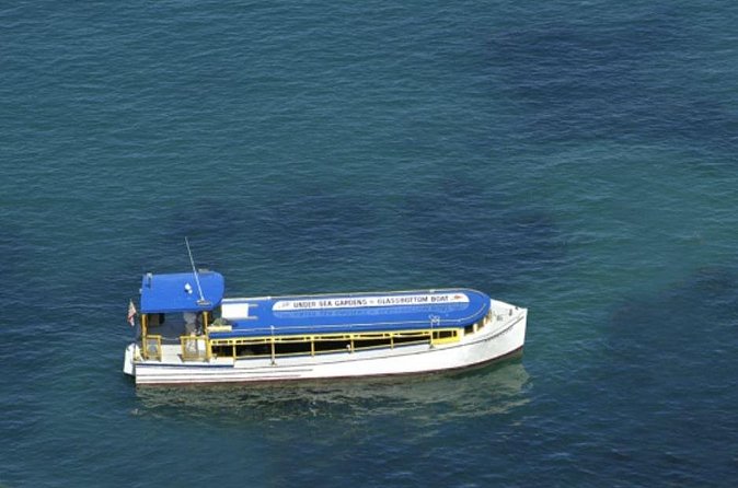 Glass Bottom Boat: Catalina Island Tour - Who This Tour Fits Best (And Who Might Want Another Option)