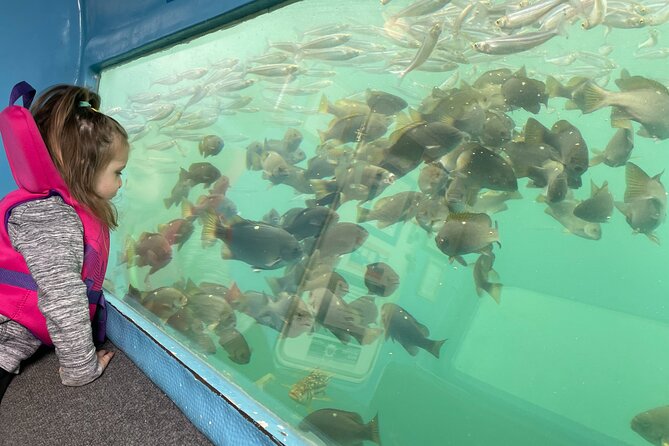 Glass Bottom Boat Ride in Redondo Beach - Key things that make this Redondo Beach boat ride worth your time