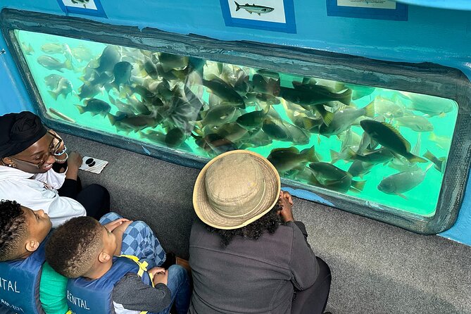 Glass Bottom Boat Ride in Redondo Beach - Timing, smooth boarding, and small-group energy