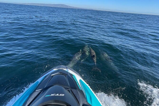 Guided Two hours Jetski Coastal Tour - Key highlights you’ll care about