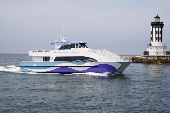Guided Whale Watching Tour from Long Beach - Comfort, cold, and sea-sickness tips that actually help