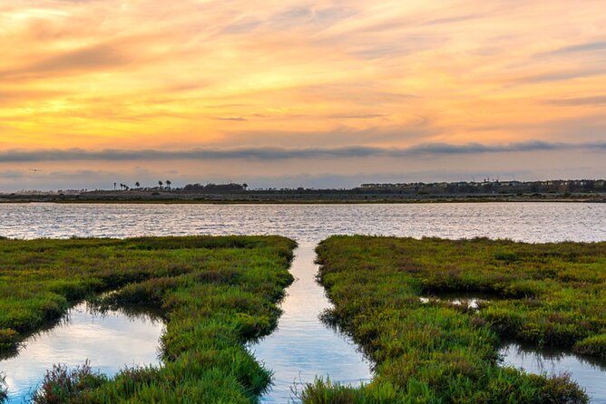 Hike and Bike through Orange County - Huntington Beach Pier: iconic views and quick town access