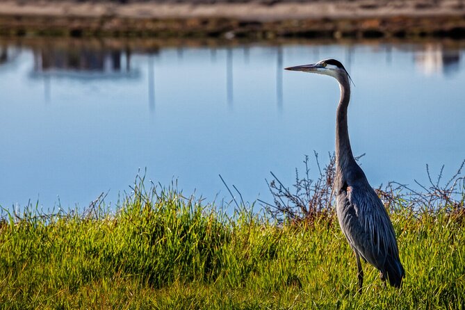Hike and Bike through Orange County - Price and what the $140 covers (and what it doesn’t)