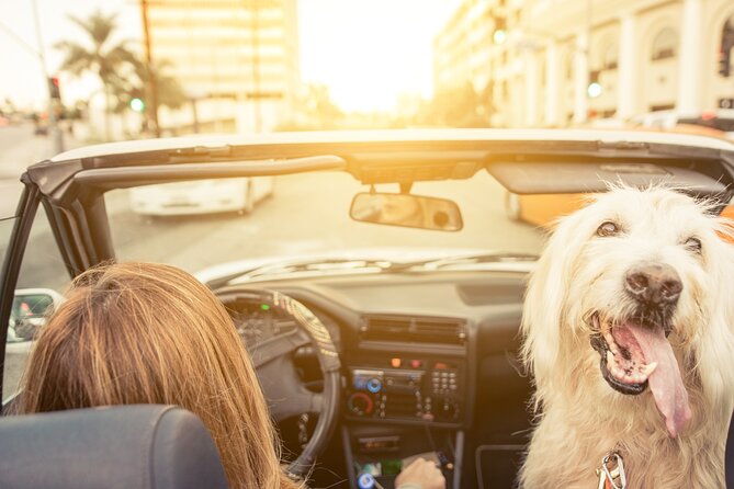 Hollywood Fame & Celebrity Homes Self-Guided Audio Bundle Tour - Price and time: does $16.99 per car make sense in LA?