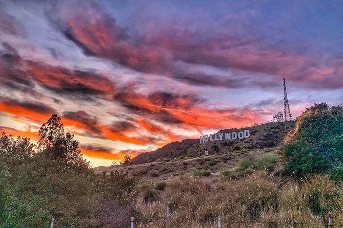 Hollywood Sign Express Tour with Comedians and Their Dogs - Stop 1 and Stop 2: Hollywood Sign from the Closest Legal Front View