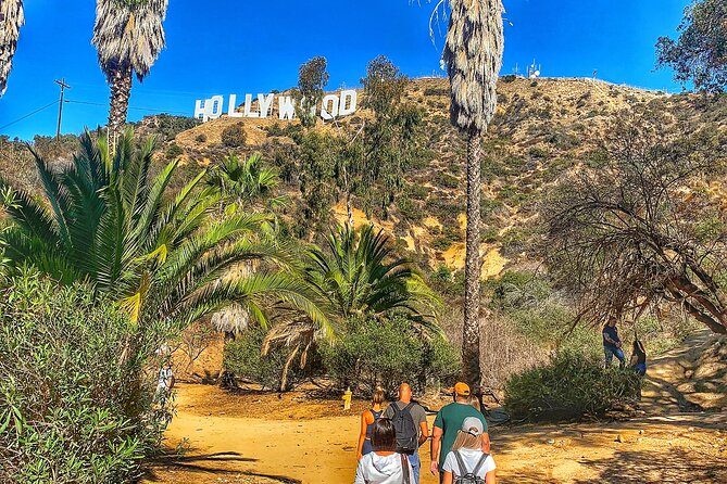 Hollywood Sign Express Tour with Comedians and Their Dogs - Comedian-Guides and Dogs: Why the Tour Feels Different