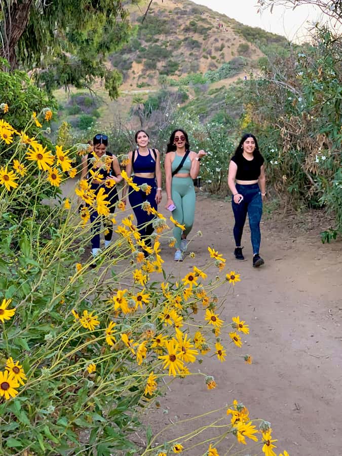 Hollywood Walking & Hiking Sunset Tour with LA Skyline Views - Who should book this Hollywood sunset walking and hiking tour